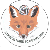 Stade Renard de Melong