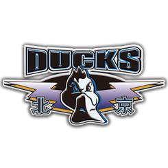 Guangzhou Loong Lions