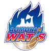Yamagata Wyverns