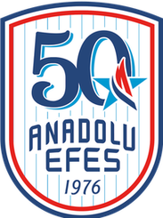 Fenerbah&ccedil;e Beko Istanbul